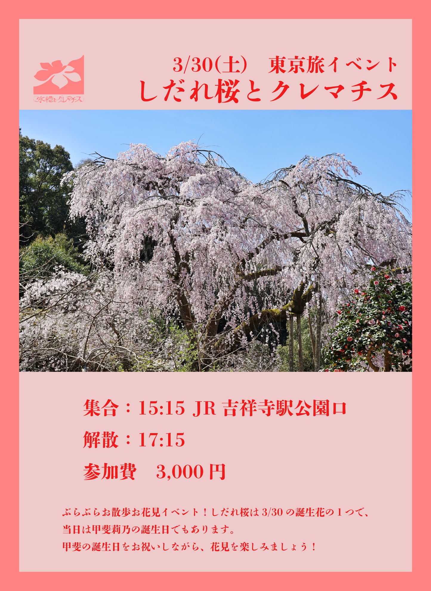 3/30(土・夕)東京旅イベント「しだれ桜とクレマチス」