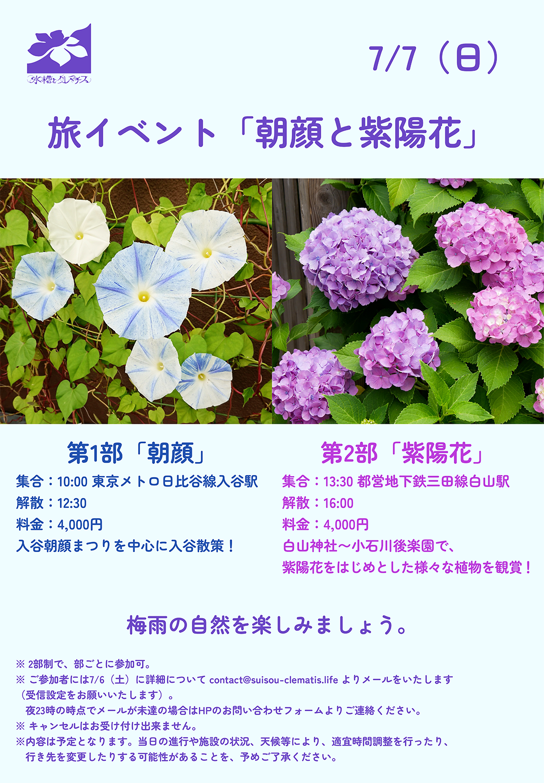 7/7(日)東京旅イベント「朝顔と紫陽花」