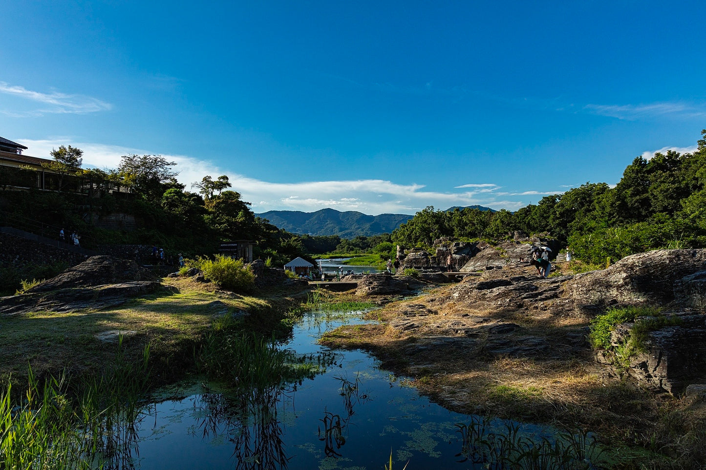 月一年ボイス 夏の便り(二〇二六年六月〜二〇二六年八月)