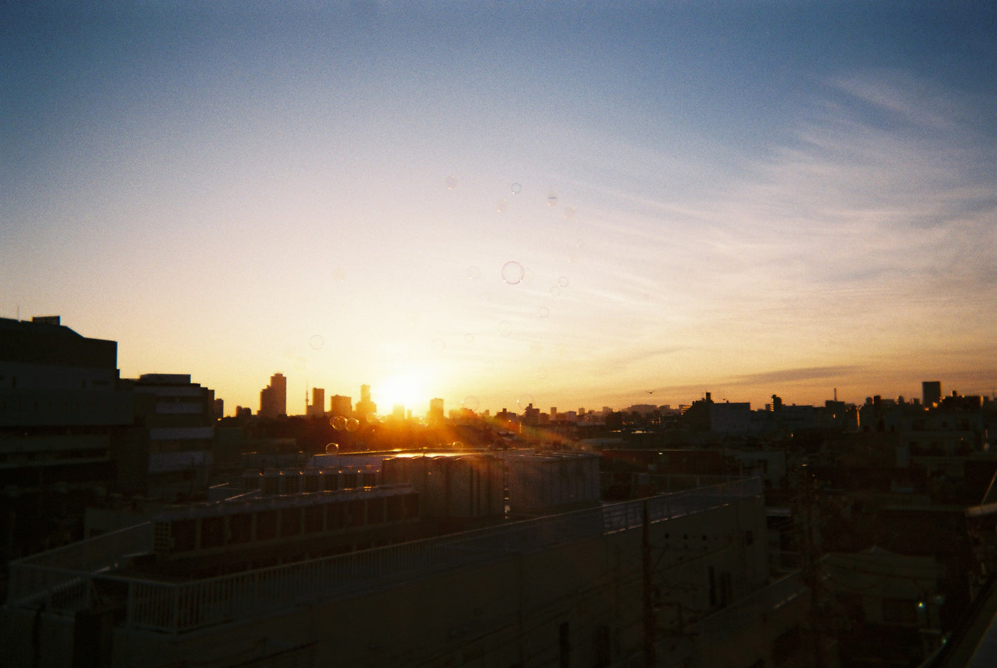 「ユメ」フィルム写真