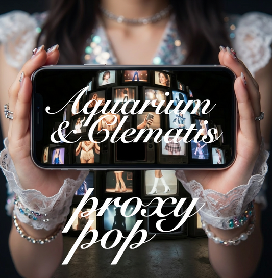 2ndワンマン開催 ＆ 2ndアルバム『proxy pop』発売決定！