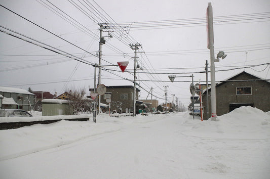 月一年ボイス 冬の便り（二〇二五年十二月〜二〇二六年二月）
