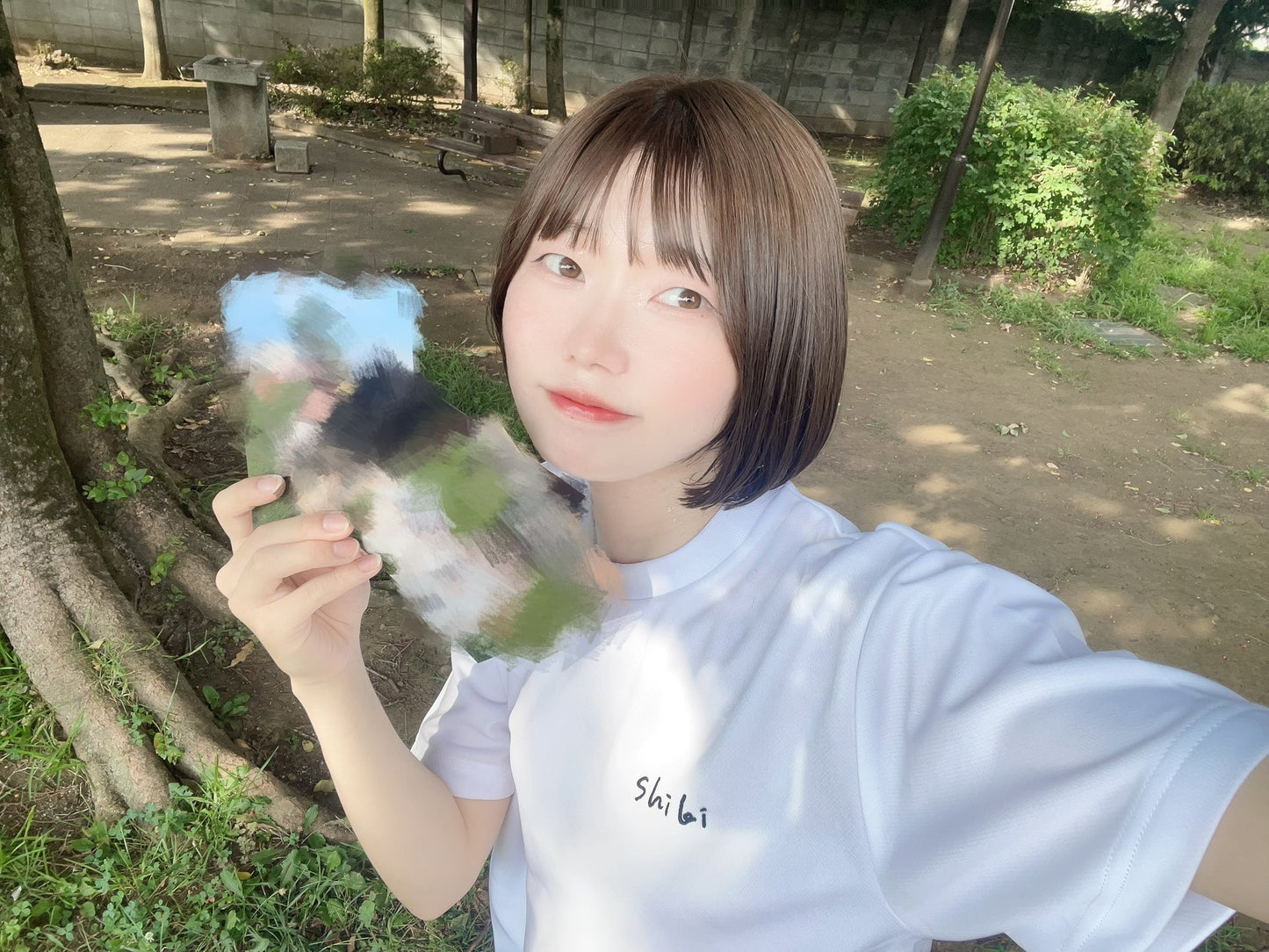 夏と花火と時季ブロマイド（3枚入）
